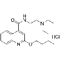 anti-HYAL1 antibody (Hyaluronidase-1) (N-Term)