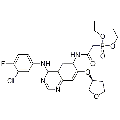 anti-HYAL1 antibody (Hyaluronidase-1) (N-Term)