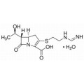 anti-HYAL1 antibody (Hyaluronidase-1) (N-Term)