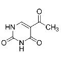 anti-HYAL1 antibody (Hyaluronidase-1) (N-Term)