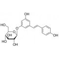 anti-HYAL1 antibody (Hyaluronidase-1) (N-Term)
