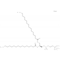 anti-HYAL1 antibody (Hyaluronidase-1) (N-Term)