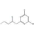 anti-HYAL1 antibody (Hyaluronidase-1) (N-Term)