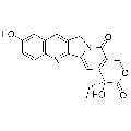 anti-HYAL1 antibody (Hyaluronidase-1) (N-Term)