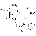 anti-HYAL1 antibody (Hyaluronidase-1) (N-Term)