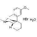 anti-HYAL1 antibody (Hyaluronidase-1) (N-Term)
