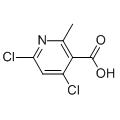 anti-HYAL1 antibody (Hyaluronidase-1) (N-Term)