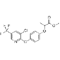 anti-HYAL1 antibody (Hyaluronidase-1) (N-Term)