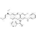 anti-HYAL1 antibody (Hyaluronidase-1) (N-Term)