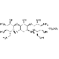 anti-HYAL1 antibody (Hyaluronidase-1) (N-Term)