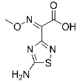 anti-HYAL1 antibody (Hyaluronidase-1) (N-Term)