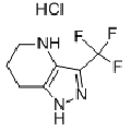 anti-HYAL1 antibody (Hyaluronidase-1) (N-Term)