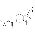 anti-HYAL1 antibody (Hyaluronidase-1) (N-Term)