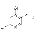 anti-HYAL1 antibody (Hyaluronidase-1) (N-Term)