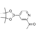 anti-HYAL1 antibody (Hyaluronidase-1) (N-Term)