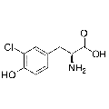 anti-HYAL1 antibody (Hyaluronidase-1) (N-Term)