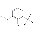 anti-HYAL1 antibody (Hyaluronidase-1) (N-Term)