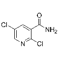 anti-HYAL1 antibody (Hyaluronidase-1) (N-Term)