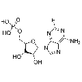 anti-HYAL1 antibody (Hyaluronidase-1) (N-Term)