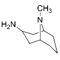 anti-HYAL1 antibody (Hyaluronidase-1) (N-Term)