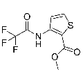 anti-HYAL1 antibody (Hyaluronidase-1) (N-Term)