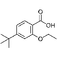 anti-HYAL1 antibody (Hyaluronidase-1) (N-Term)