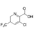 anti-HYAL1 antibody (Hyaluronidase-1) (N-Term)