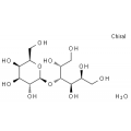 anti-HYAL1 antibody (Hyaluronidase-1) (N-Term)