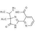 anti-HYAL1 antibody (Hyaluronidase-1) (N-Term)
