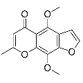anti-HYAL1 antibody (Hyaluronidase-1) (N-Term)