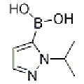 anti-HYAL1 antibody (Hyaluronidase-1) (N-Term)