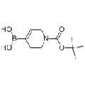 anti-HYAL1 antibody (Hyaluronidase-1) (N-Term)