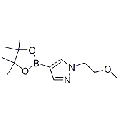 anti-HYAL1 antibody (Hyaluronidase-1) (N-Term)