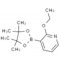 anti-HYAL1 antibody (Hyaluronidase-1) (N-Term)