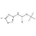 anti-HYAL1 antibody (Hyaluronidase-1) (N-Term)