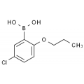 anti-HYAL1 antibody (Hyaluronidase-1) (N-Term)