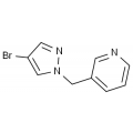 anti-HYAL1 antibody (Hyaluronidase-1) (N-Term)