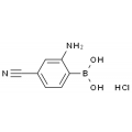 anti-HYAL1 antibody (Hyaluronidase-1) (N-Term)