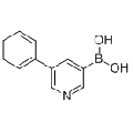 anti-HYAL1 antibody (Hyaluronidase-1) (N-Term)