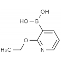 anti-HYAL1 antibody (Hyaluronidase-1) (N-Term)