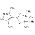anti-HYAL1 antibody (Hyaluronidase-1) (N-Term)