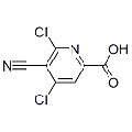 anti-HYAL1 antibody (Hyaluronidase-1) (N-Term)