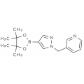 anti-HYAL1 antibody (Hyaluronidase-1) (N-Term)