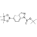 anti-HYAL1 antibody (Hyaluronidase-1) (N-Term)