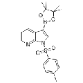 anti-HYAL1 antibody (Hyaluronidase-1) (N-Term)