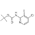 anti-HYAL1 antibody (Hyaluronidase-1) (N-Term)