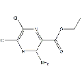 anti-HYAL1 antibody (Hyaluronidase-1) (N-Term)