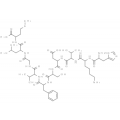 anti-HYAL1 antibody (Hyaluronidase-1) (N-Term)