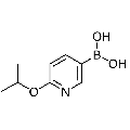 anti-HYAL1 antibody (Hyaluronidase-1) (N-Term)