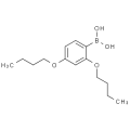 anti-HYAL1 antibody (Hyaluronidase-1) (N-Term)